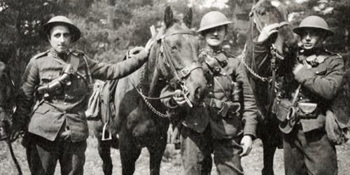 Horses were a vital part of the transportation system during the Great War. Sadly, tens of thousands of horses were wounded or killed thanks to the harrowing conditions at the front.