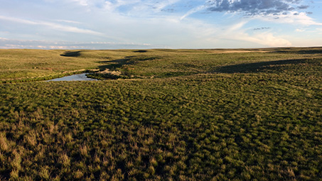 Prairies Grasslands