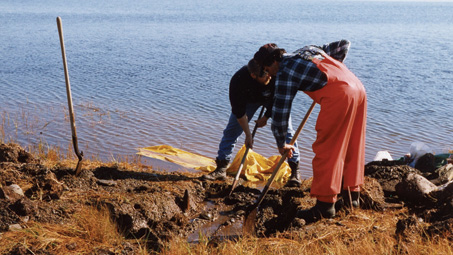 West Pubnico, Nova Scotia: Farming saltwater marshes