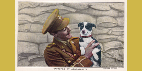 A postcard depicts a soldier holding a stray dog found during the 1916 Battle of Courcelette. The postcard belonged to Lieutenant Guy Elton Dingle, who served with the Canadian Mounted Rifles in France. 