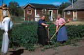 Des interprètes s’occupent des jardins du ranch. / Photo: Parcs Canada.